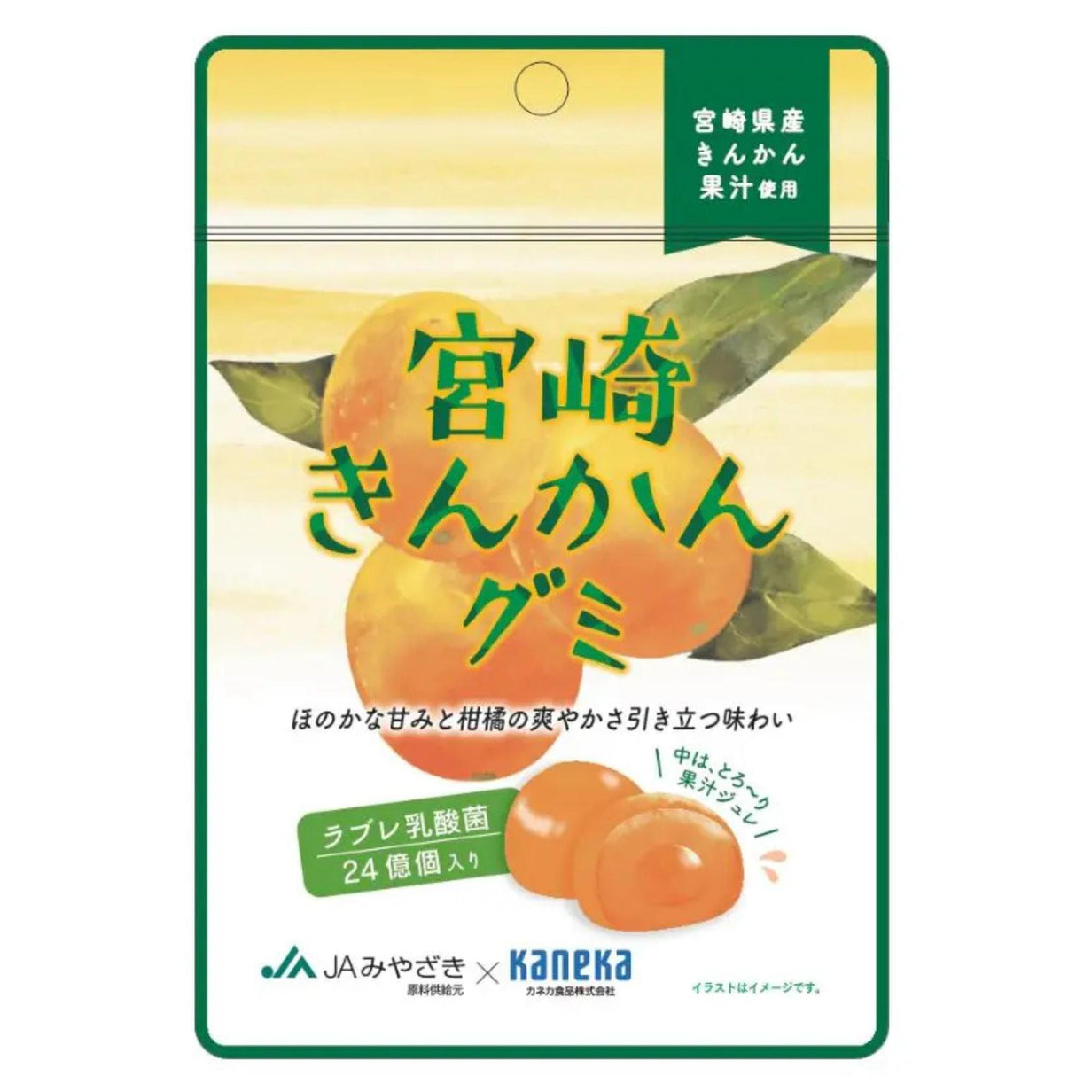 KANEKA MIYAZAKI KINKAN GUMMY 40G/1.4OZ