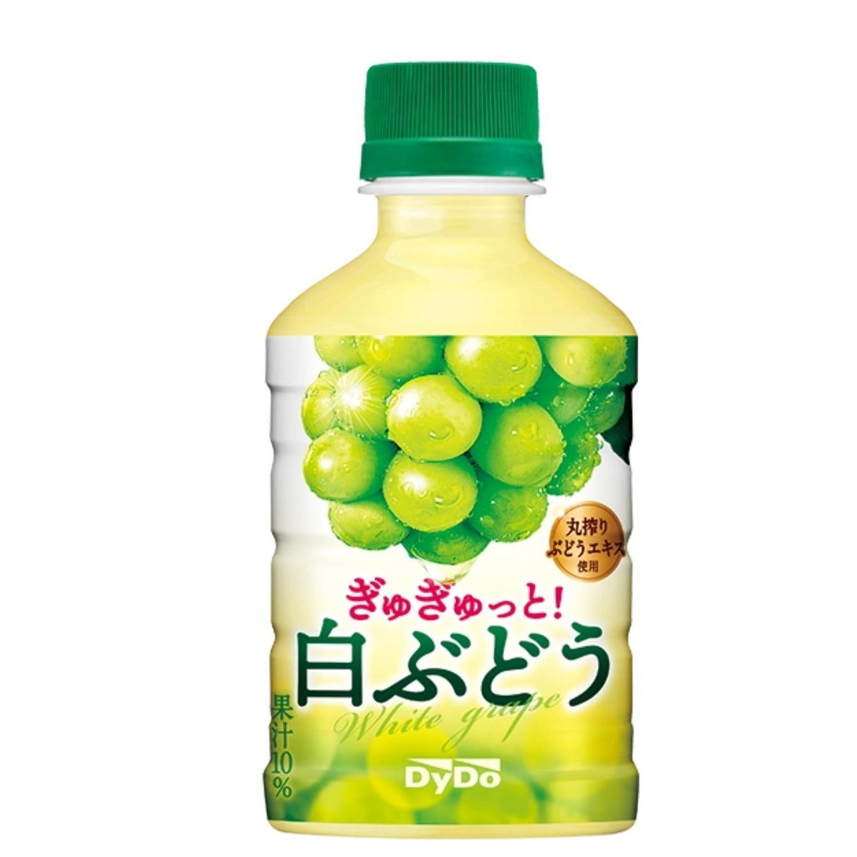 EXPIRING ON 7/31/2026 DYDO GYUGYUTTO SHIROBUDO