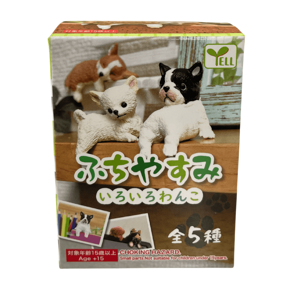 RESTING DOGS BLIND BOX