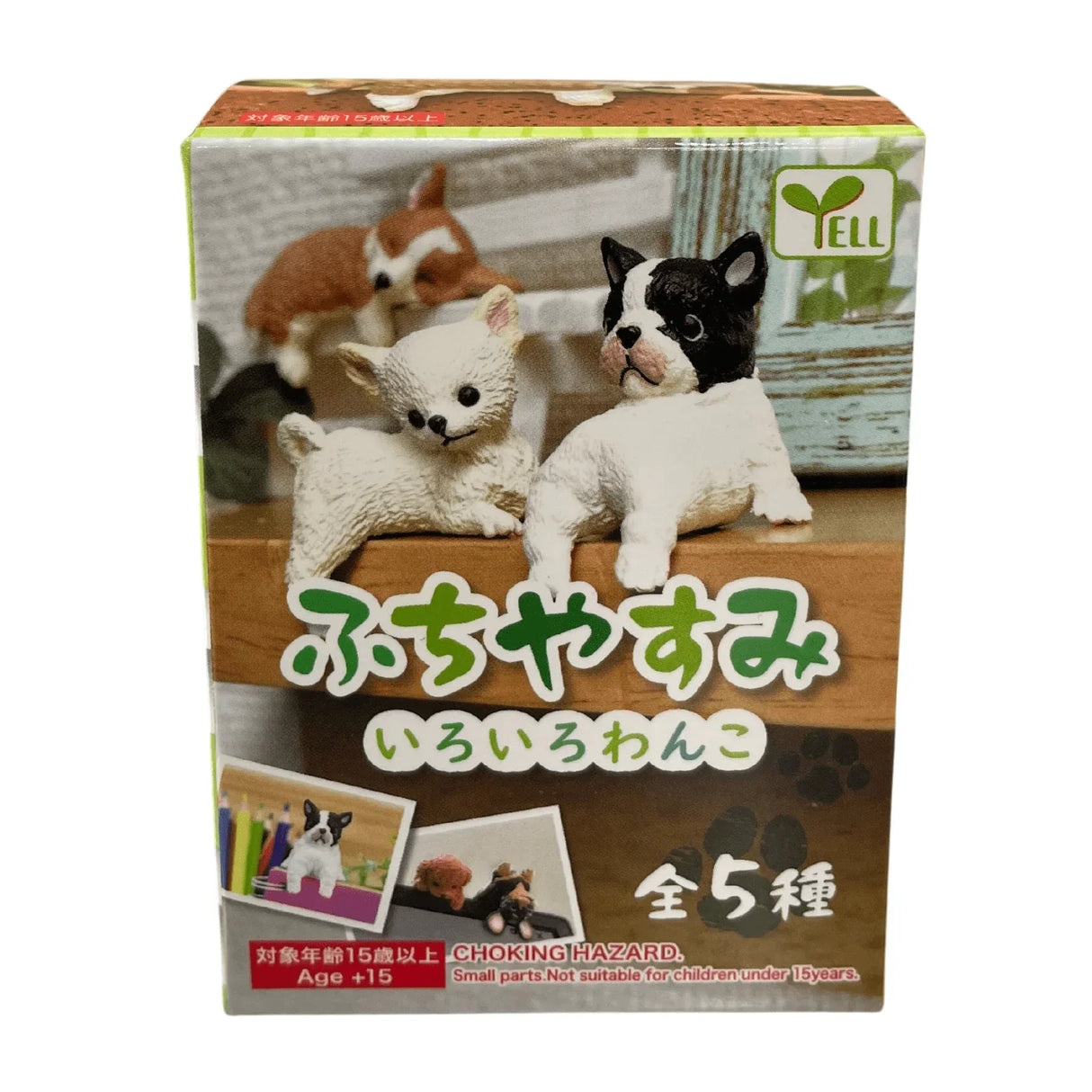 RESTING DOGS BLIND BOX