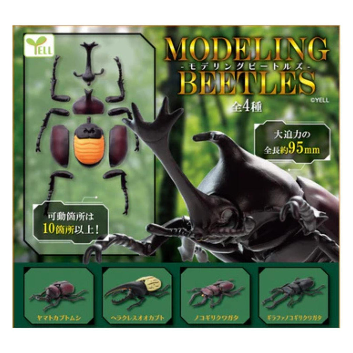 MODELING BEETLE