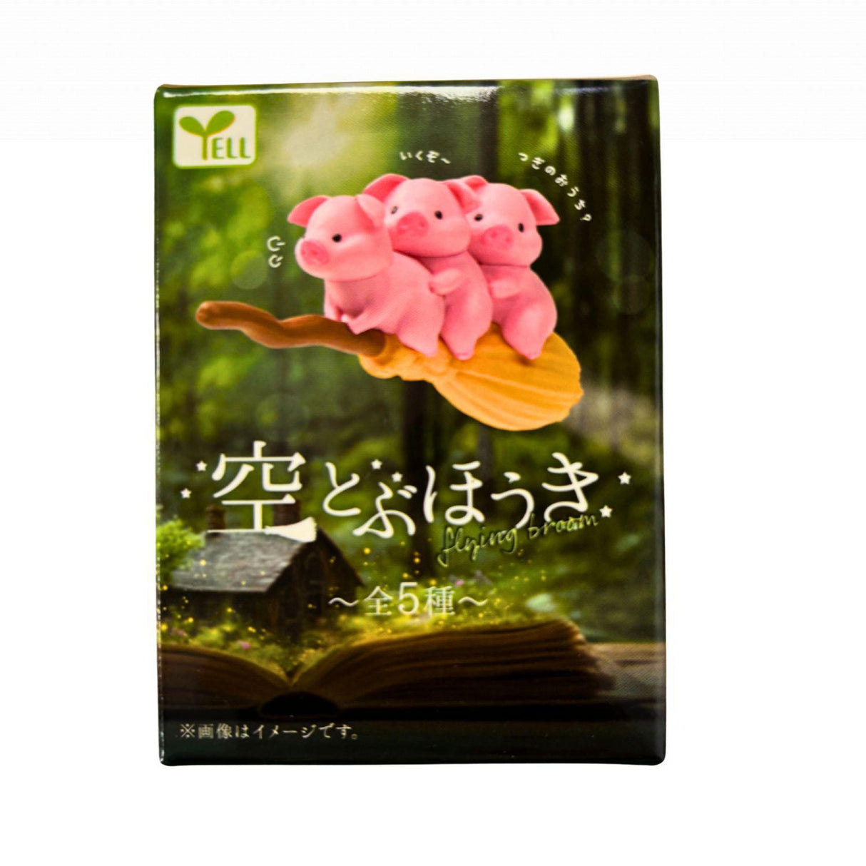 SORA TOBU HOKI BLIND BOX TOY - GOHAN Market