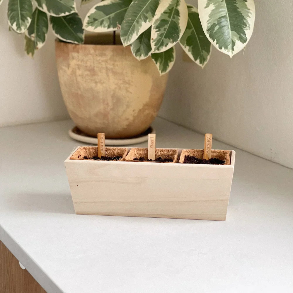 Indoor Herb Planter