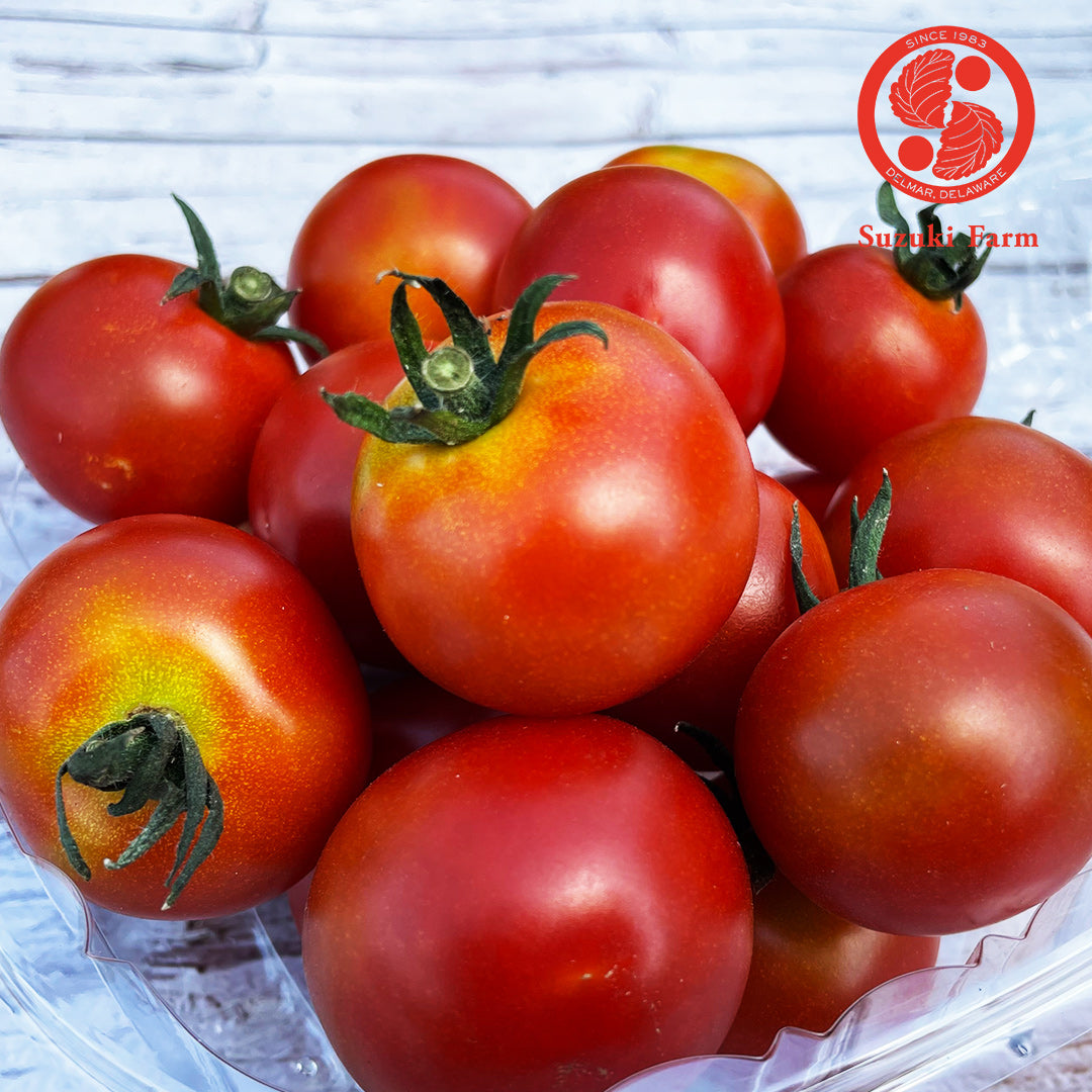 Cherry Tomato (S) | Suzuki Farm | 0.5 lb