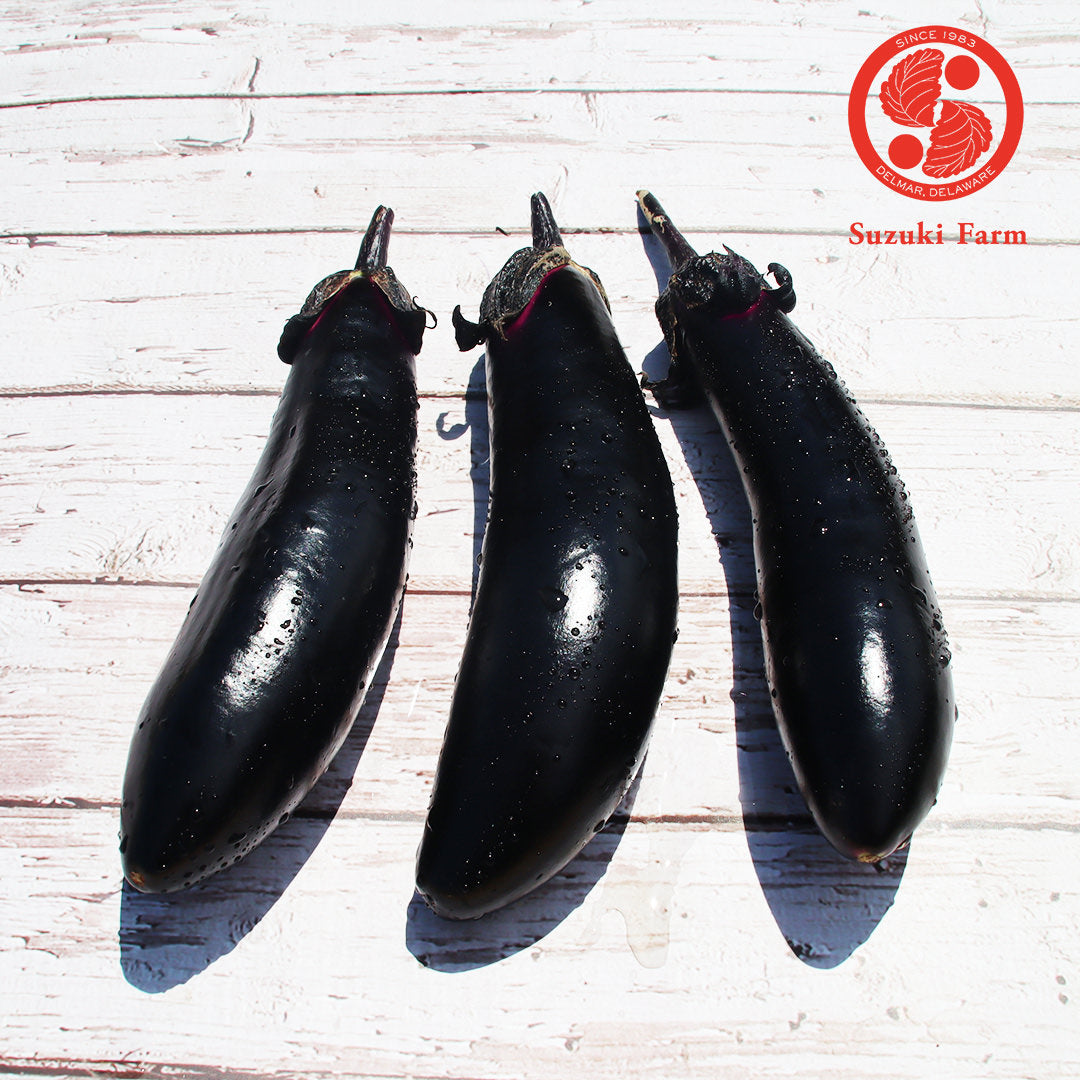 NASU Eggplant | Suzuki Farm | 3 pc