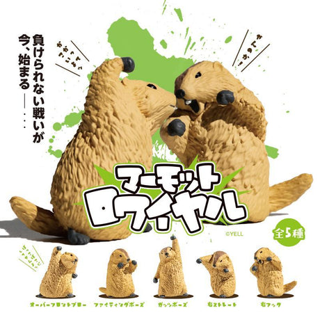 73254 Fighting Marmot Blind Box