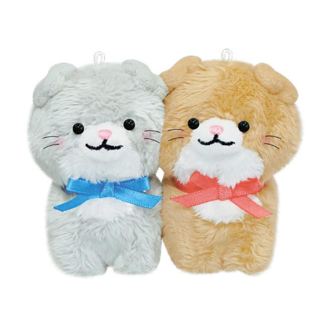 NIKO NUI SCOTTISH FOLD