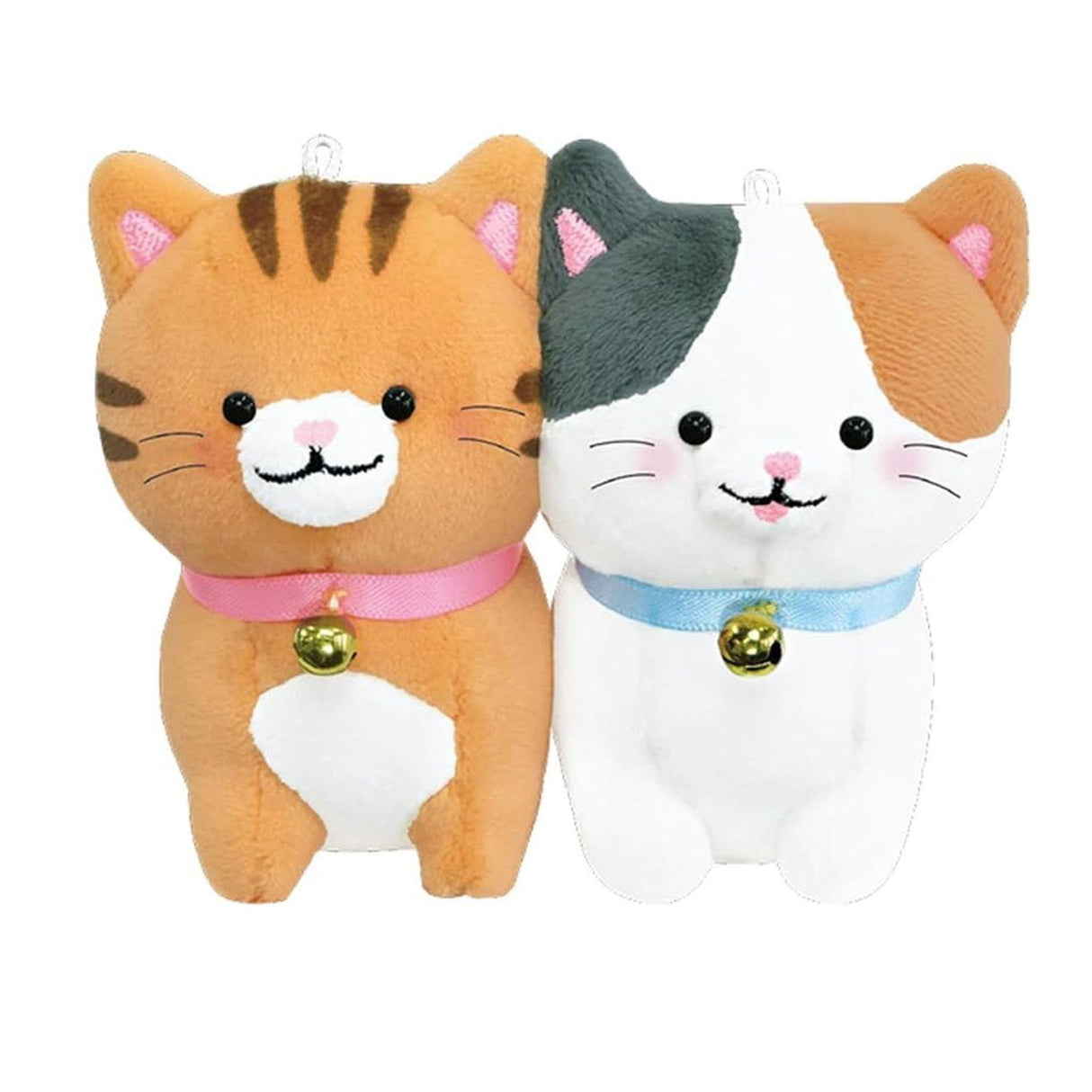 Tabby & Calico