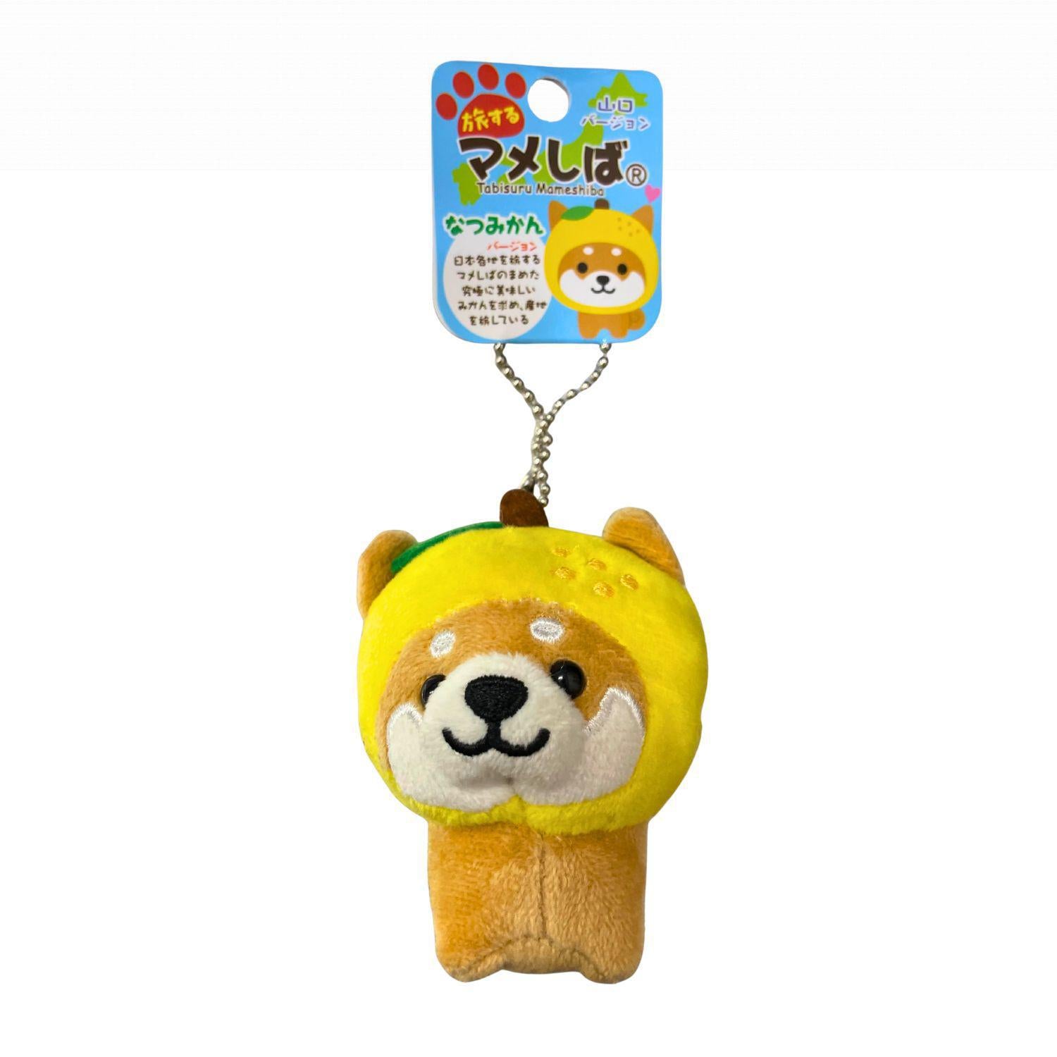 【mame-柴 】 MAMESHIBA SUMMER ORANGE – GOHAN Market