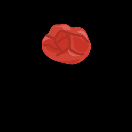 UMEBOSHI - GOHAN Market