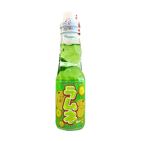 BIN IRI RAMUNE KIWI 6.6 FL OZ