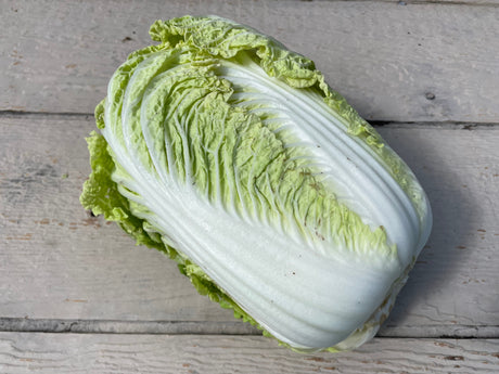 Napa Cabbage | From Our Suppliers | 1 head