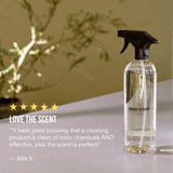 Surface Cleaner Refills (3 ct)