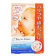 BARRIER REPAIR FACIAL MASK ENRICH