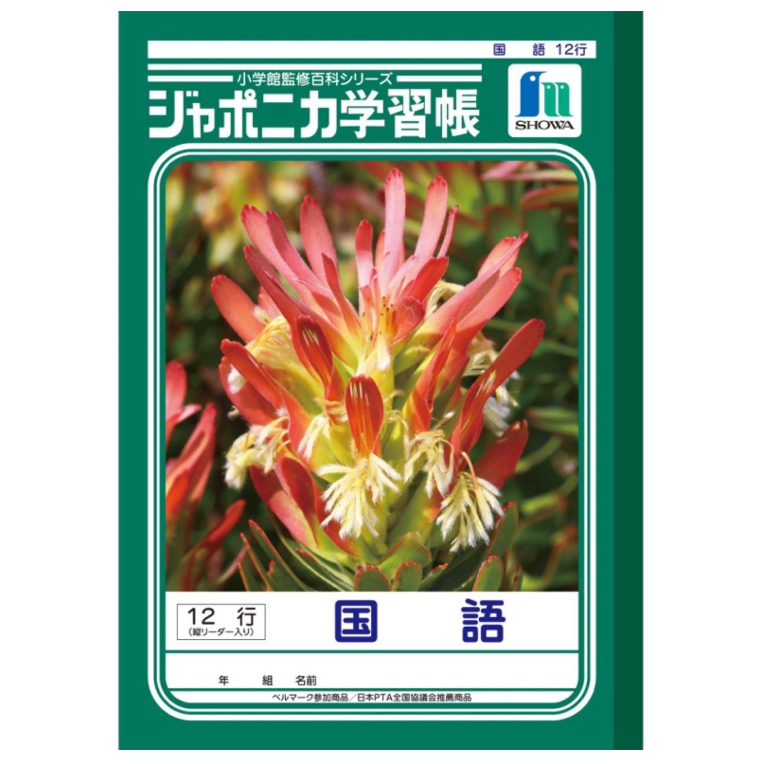 クプナ♡タペストリー♡ホヌ♡153×153♡セルドングリーン♡ Stationery – Page 3 – GOHAN Market