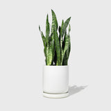 Large Stoneware Planter