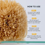 Exfoliating Grass Sea Sponge