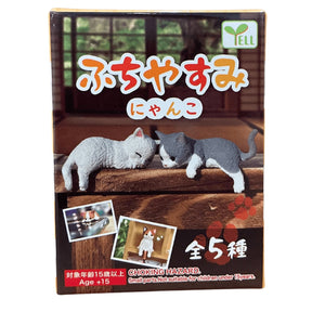 RESTING CAT BLIND BOX