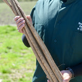 Gobo (Burdock Root) | From Our Suppliers | 1.0 lb