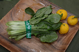 KOMATSUNA Leaves with flower buds | Suzuki Farm | 1 bunch