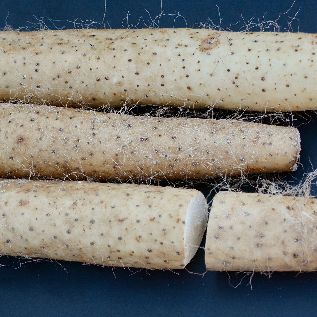 Nagaimo (Japanese Yam) |From Our Suppliers | 1.5 lb