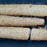 Nagaimo (Japanese Yam) |From Our Suppliers | 1.5 lb