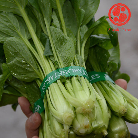 KOMATSUNA Leaves with flower buds | Suzuki Farm | 1 bunch