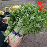 MIZUNA Leaves | Suzuki Farm | 1 bunch