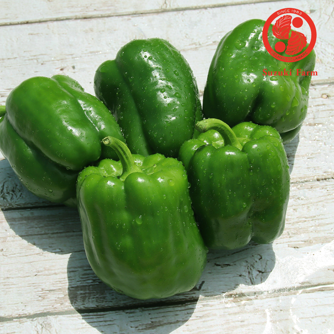PEAMAN Bellpepper | Suzuki Farm | 5 pc