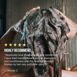 Shampoo