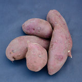 Satsumaimo (Japanese Sweet Potato) | From Our Suppliers | 1.5 lb