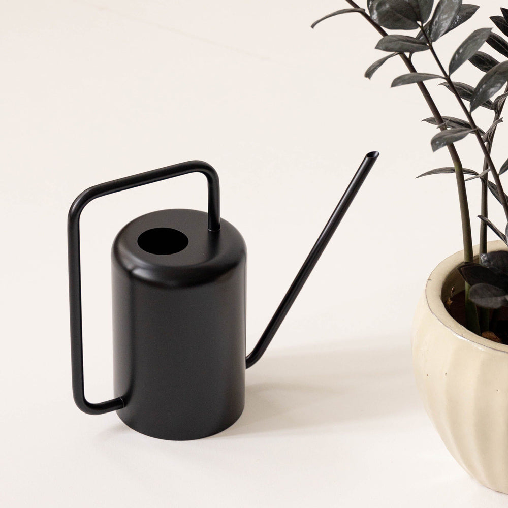 Watering Can